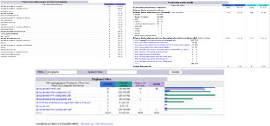 Estad&iacute;sticas Web Avanzadas de SPC - Captura 3